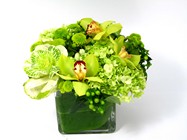Green Clover